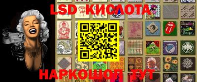 кокс Донской