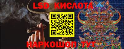 кокс Донской