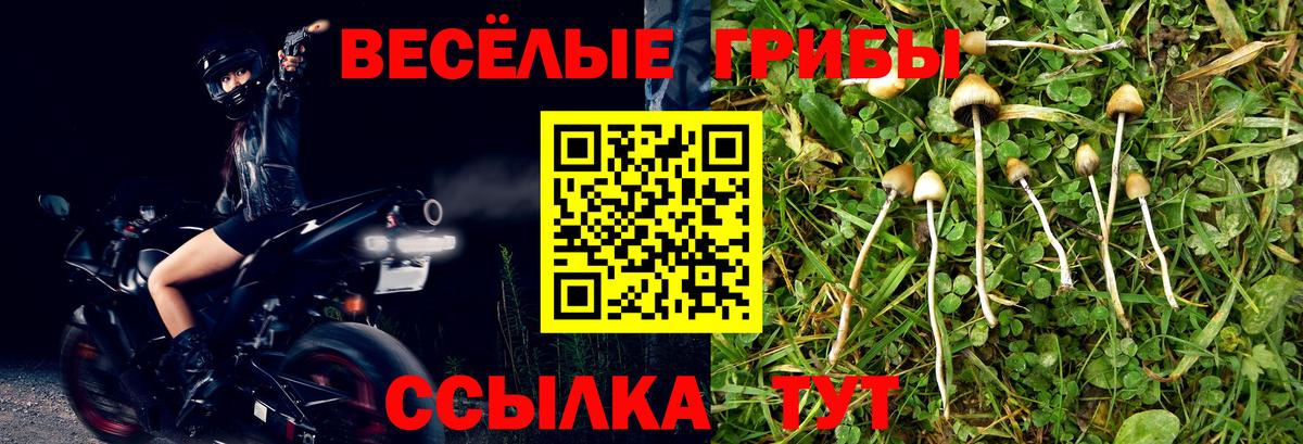 Псилоцибиновые грибы GOLDEN TEACHER Новый Уренгой
